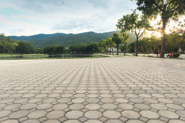 Best Affordable Driveway Paving  in Tiptonville, TN